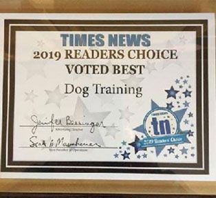 Times News 2019 Reader's Choice voted best dog training